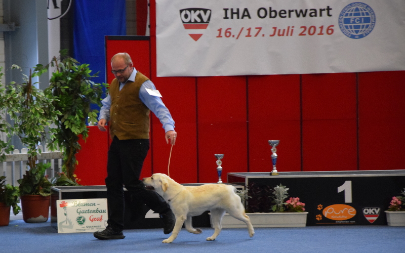 2-IHA-Oberwart
