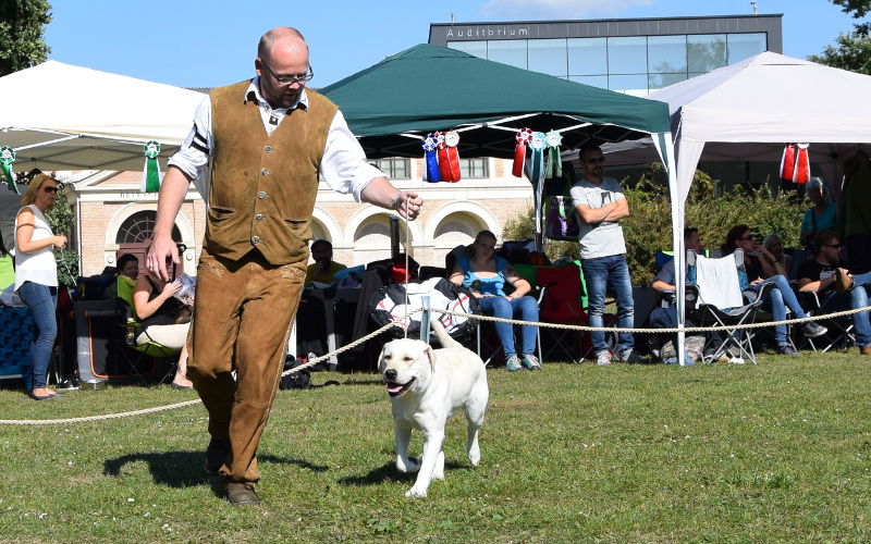 8 Kira Retriver Festival